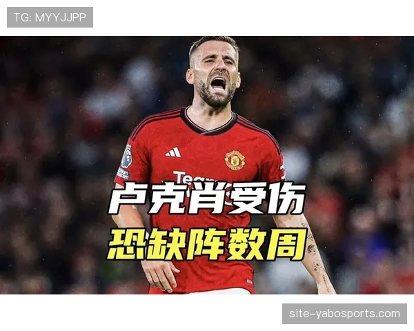 法兰克福锋线终结者巴舒亚伊伤缺 进球效率面临考验